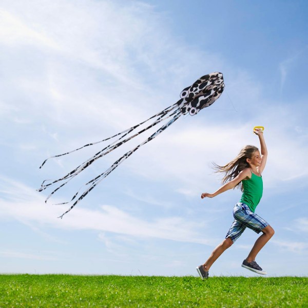 Large Long Tail Beach Kites - perfekt legetøj til børn og voksne udendørs spil Black