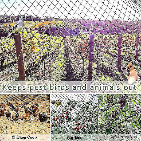 Antifågelnät och stängsel och grödor Skyddsfäktning Mesh Antifågel Rådjur Katt Hund Cken Net Ing Net #calu 2*5m