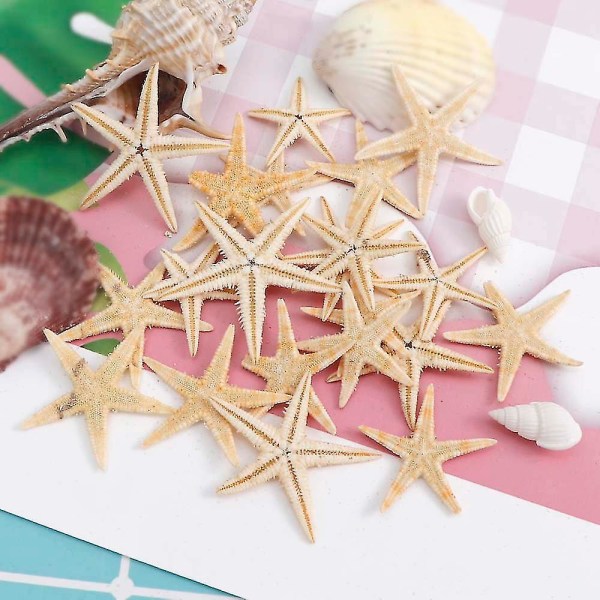 100 stk Naturlig sjøstjerner Seashell Beach Craft Natural Sea Stars Diy Beach Bryllupsdekorasjonshåndverk