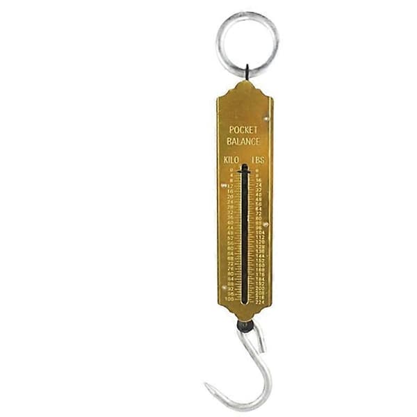 Fjäderbalans Hängkrok Handhållen Metallvåg Kilo & LBS 25KG