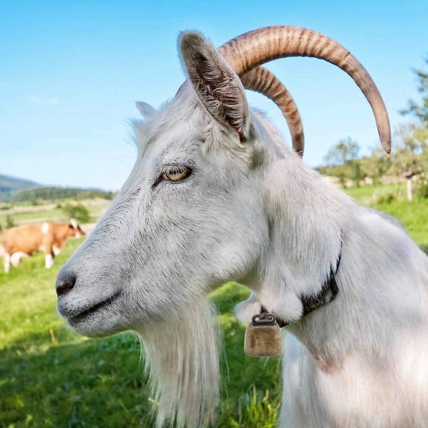 Metal Cowbells Noisemaker Ringeklokker til fodboldspil, bryllupper, klasseværelsesbrug