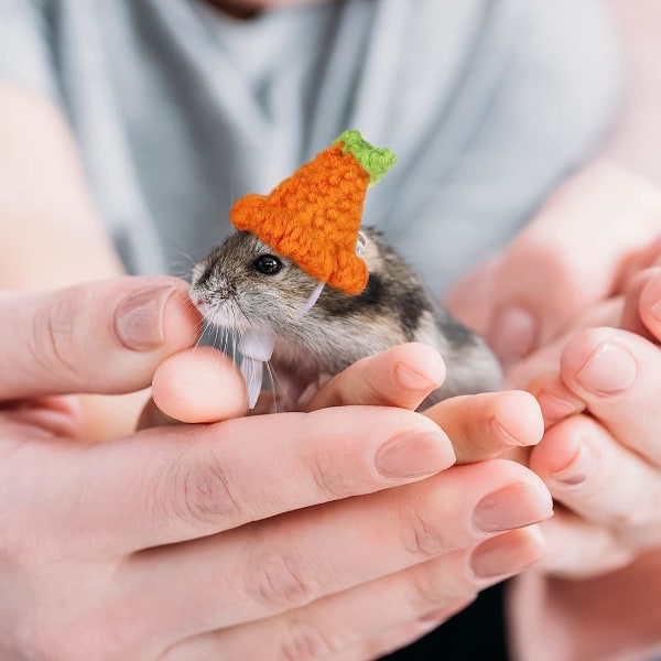 4 delar Hamsterhatt Mini Smådjur Mössa med justerbar rem Härlig handstickad groda Regnbåge Morot Små hattar Julfest