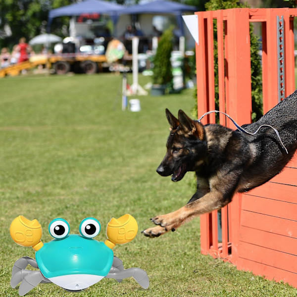 Crawling Crab Hundleksaker,rymning Krabba Hund Kattleksak Med Obstacle Avoidance Sensor,interaktiva Hundleksaker Med Musik Ljud & Ljus För Hundar Katter Husdjur,chr blue