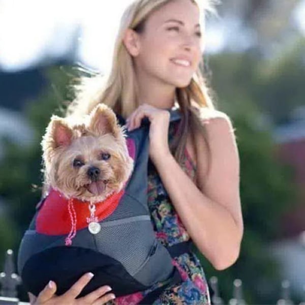 Pet Carrier Ryggsäck, Hund Katt Front Pack med Andningsbar