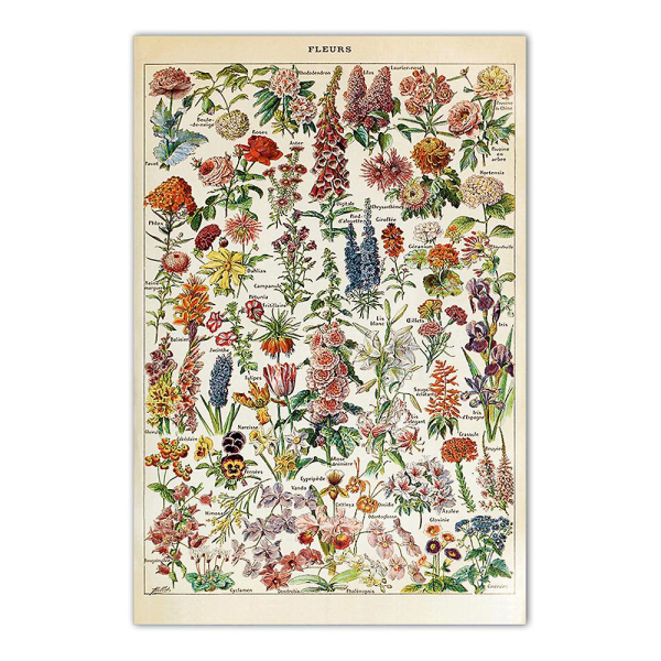 Blomsterplakat, vintageplakat (30x40 cm)