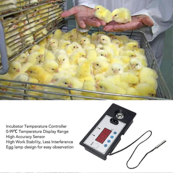 Automatisk egginkubator med temperaturkontroller, vannseng og lampetermostat