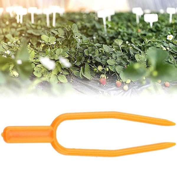 50 stk. Fastgørelsesfastgørelsesarmatur Planteclips Have Jordbærgaffel Farming Clamp