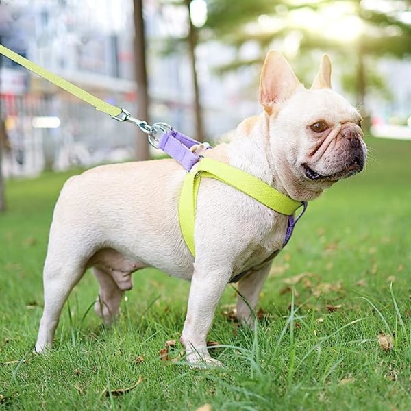Koiran valjaat Koiran valjaat ja talutushihna No Pull Nylon lemmikkihihnat pienille koirille Ranskanbulldog Chihuahua lyijyhihna ja set yorkeille
