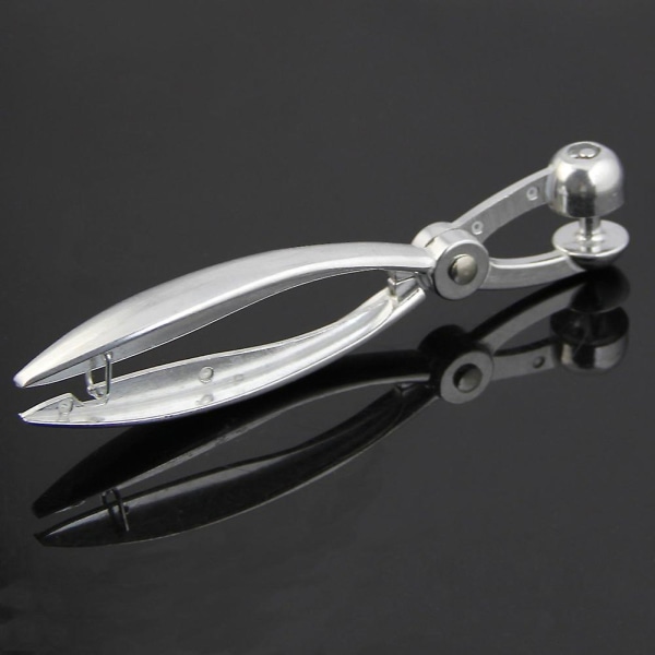Silver Aluminium Cherry Pitter Röda Dadlar Oliver Pit Lätt att avlägsna kärna Klämklämma Såmaskin 18*3,5 cm(