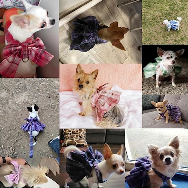 Djurkläder Hundhalsband Kjol Rosett Husdjurssele med bröstrem Dragrep Hundkläder för små hundar Kattkoppel Princess Tutu kjolklänning