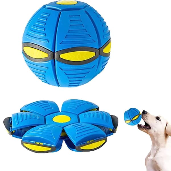 Koira-UFO-pallo Blue