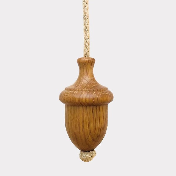 Ekljusdragsknopp i ek - Acorn