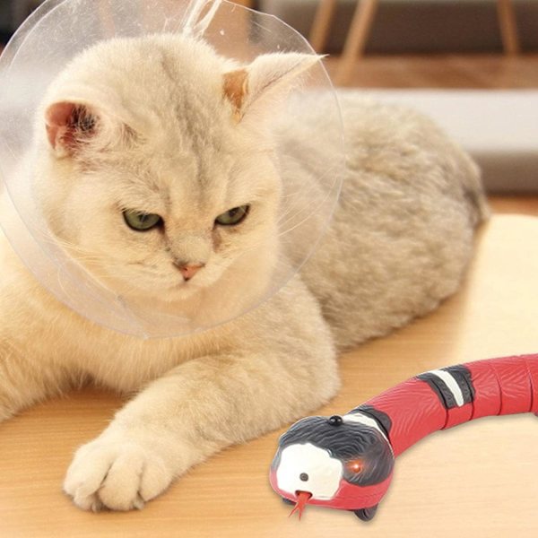 Cat Tunnel Channel Avtagbar och tvättbar filtduk Cat Nest Pet Leksaker Pet