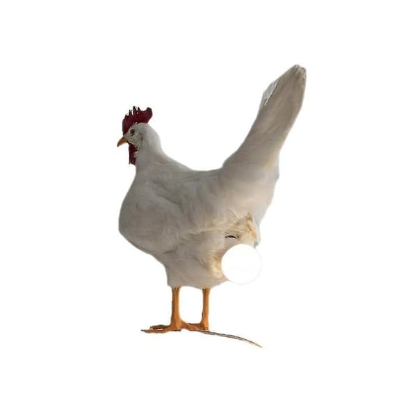 Kylling Led Lampe Egg Nattlampe Utstoppede Egg Skrivebordslampe