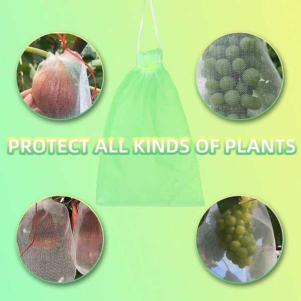 50 delar druvskyddspåse, 30x20cm, organzapåsar, fruktskyddspåse, insektsnät, skydd och skadedjursbekämpning för trädgård (grön)