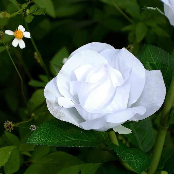 Jinxiu Solar Hagelys, Vanntett Hvit Rose Blomst Hage Solcellebelysning, Utendørs Solcelle Hagepynt Lys For Julehage