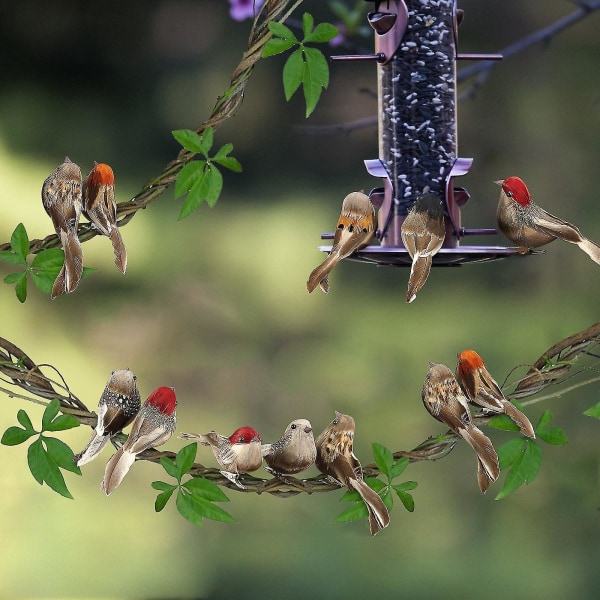 12 st fjäderfåglar konstgjorda skum mini kärleksfåglar utomhus fågelmatare lockar