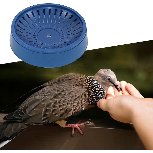 2-pack Bird Stop tørretumbler Vent Grill Skærmbeskyttelse Indsats 8,8 tommer x 8,8 tommer Tilpasses 3 tommer til 8 tommer stopper indlejring i badeværelses udstødningsventiler