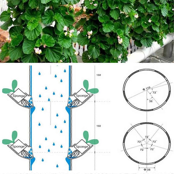 10 Set Hydroponiskt Jordfritt Odlingssystem DIY Hydroponisk Plantskola Trädgårdskit As Shown