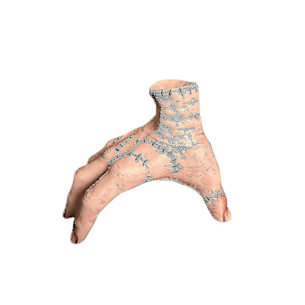Adams Family Keskiviikko Little Things Latex Palms Thing_x