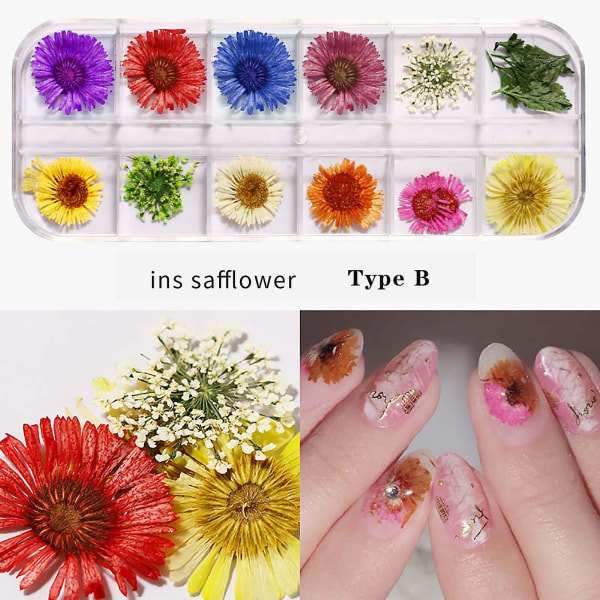 Gør-det-selv japansk tørret negleblomst 12 farver Star Sun Flower 24 Tørret negleblomst B