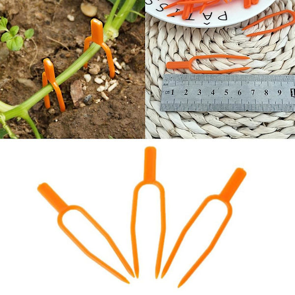 50 stk. Fastgørelsesfastgørelsesarmatur Planteclips Have Jordbærgaffel Farming Clamp