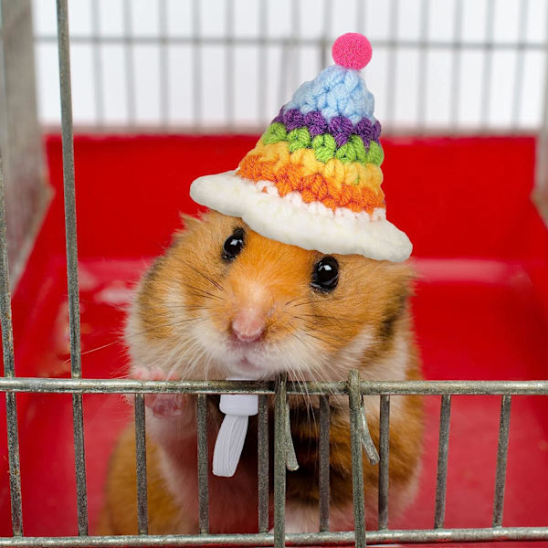 4 deler hamster lue mini små dyr lue med justerbar stropp Nydelig håndstrikket frosk regnbue gulrot bittesmå luer Julefest