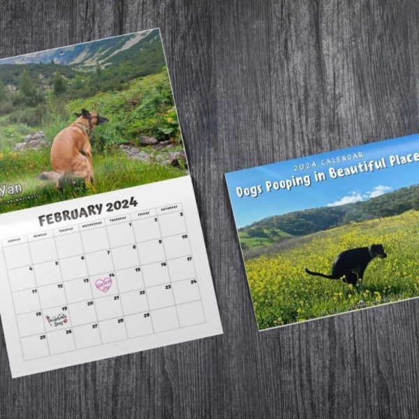 Pooping Dogs Calendar 2024 Kalender