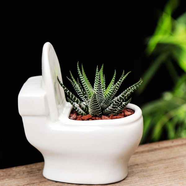 Blomkrukor Vas Ornament Växtkrukor Hem Trädgårdsdekoration