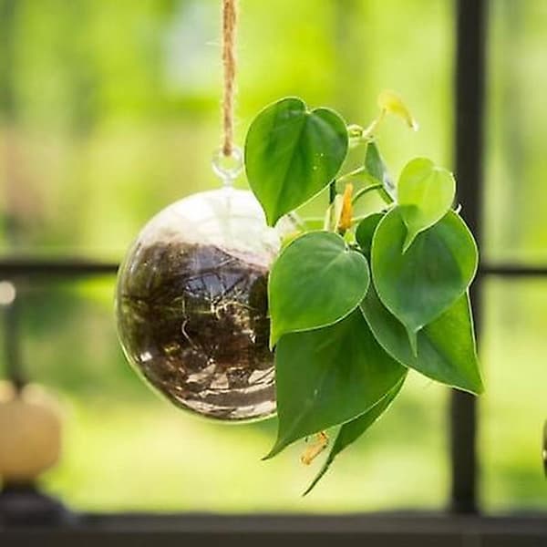 Glaskugle 12 cm i diameter glas til planter eller lys fra