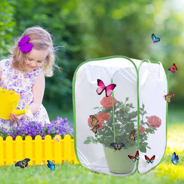 Vikbar Caterpillar Habitat fjärilsbur för Airflow Butterfly Education Toy