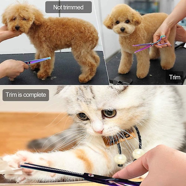 Favson Pet Grooming Sax Set Rund Spets, Pet Trimmer Kit - Effiling Sax, Böjd Sax, Comb Läder Box