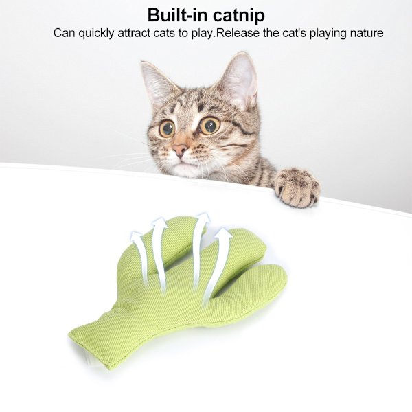 Canvas Husdjur Katt Simulering Söta Former Catnip Tänder Rengöring Slipning Rolig Träning Interaktiv LeksakKaktus