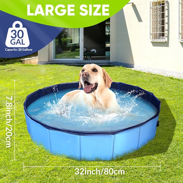 Foldbar Hundepool til Små Kæledyr - 6mm Hård Plast Sammenklappelig Kæledyrs Badekar Skridsikker Hurtig Opsætning & Dræning 81x20cm BLUE 80x7.62 cm