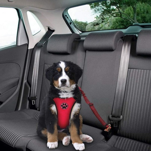 Hundbilsele Plus-anslutningsrem, multifunktionell justerbar västsele Dubbel andningsbart nättyg med bilfordons säkerhetsbälte (RR,S) Z-Red (Red Seatbelt) Small