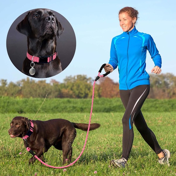 Reflekterende Hundehalsbånd Polstret med Blød Neopren Åndbar Justerbar Nylon Hundehalsbånd til Små Mellemstore Store Hunde (X-Small (Pakke med 1), Pink Halsbånd Pink Collar+Leash XS