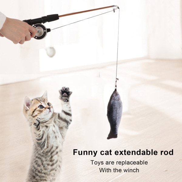 Retractable Cat Teaser Wand Toy Interactive Fishing Rod with Simulation Fish for Cats(Salmon Fishing Rod )