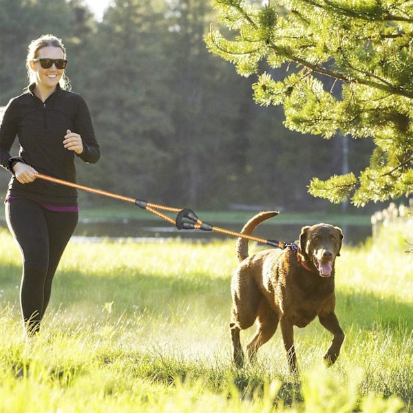 Hundehalsbånd, 5 FT Heavy Duty Dobbelthåndtak Hundeleie med Komfortabel Polstret og Reflekterende, Tau Hundeleie for Små, Mellomstore, Store Hunder (Tau-Oransje) Orange Large,Medium,Small
