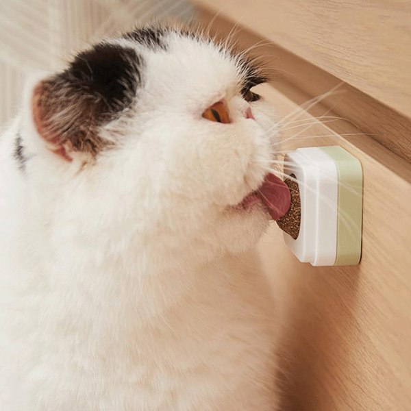 Katt Catnip Boll 360 Graders Roterbar Klistermärke Tänder Rengöring Humörreglerande Catnip Vägg Leksak för Husdjur Katt Grön