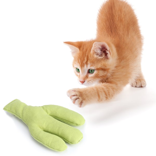 Canvas Husdjur Katt Simulering Söta Former Catnip Tänder Rengöring Slipning Rolig Träning Interaktiv LeksakKaktus