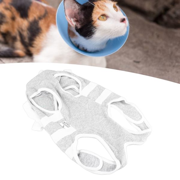 Katt återhämtningsdräkt förhindrar slickning Reptålig Andningsbar Kattunge Kirurgisk återhämtningsdräkt för katter Kattungar Valpar