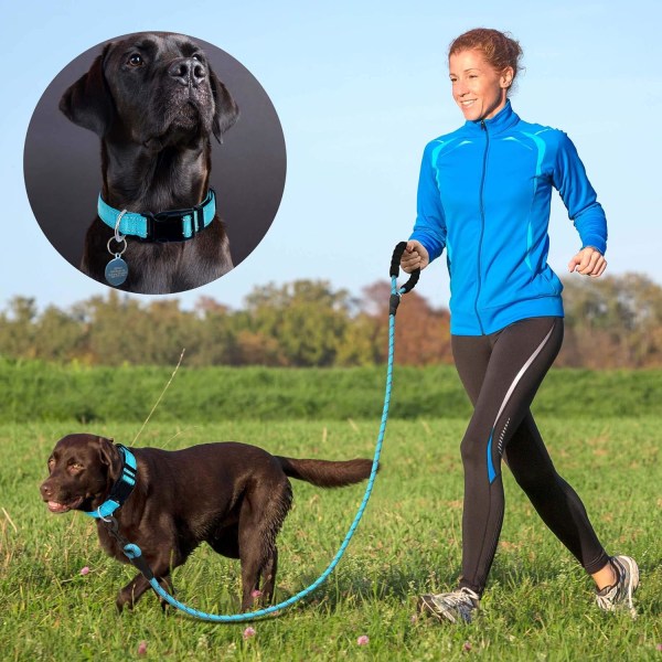 Reflekterende Hundehalsbånd Polstret med Blød Neopren Åndbar Justerbar Nylon Hundehalsbånd til Små Mellemstore Store Hunde (Lille (Pakke med 1), Blå Halsbånd+L Blue Collar+Leash S