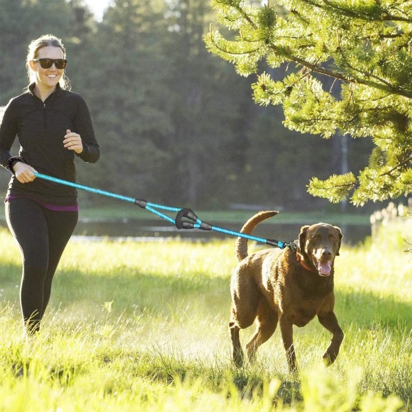 Hundehalsbånd, 5 FT Heavy Duty Dobbelthåndtak Hundeleie med Komfortabel Polstret og Reflekterende, Tau Hundeleie for Små, Mellomstore, Store Hunder (Tau-Blå) Blue Large,Medium,Small