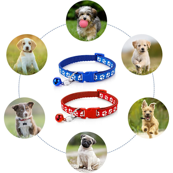 Halsband och koppel set för hundvalp, katt kattunge, justerbart hundhalsband för bil med koppel, hållbart träningsrep med snabbspänne för små hundar Blue Red