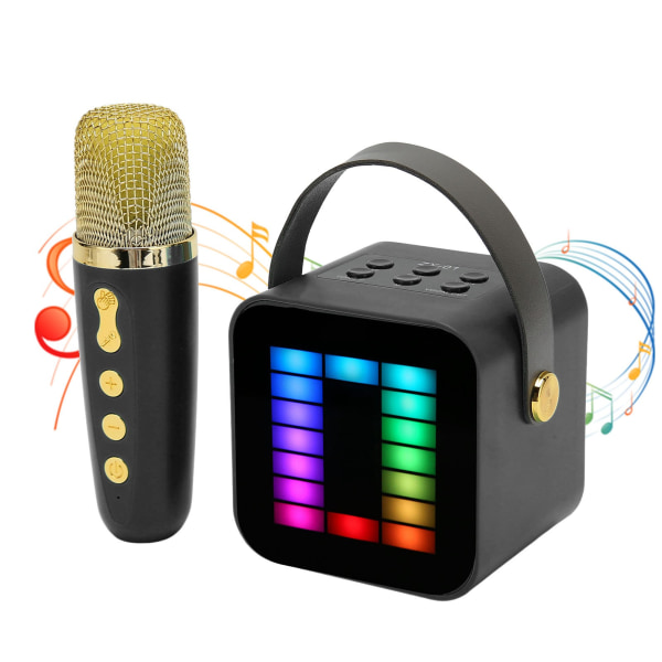 Mini Karaoke Maskin Set RGB Pickup Ljus Digital Processing Chip Handhållen Bärbar Bluetooth Högtalare med Mikrofon Black