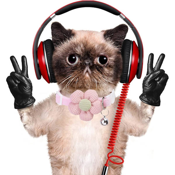 Avbrytbara kattkragar med klockor, WJSM kattungekrage för flicka pojke justerbara säkerhetskatter kragar för katter valp och små husdjur (rosa) Pink