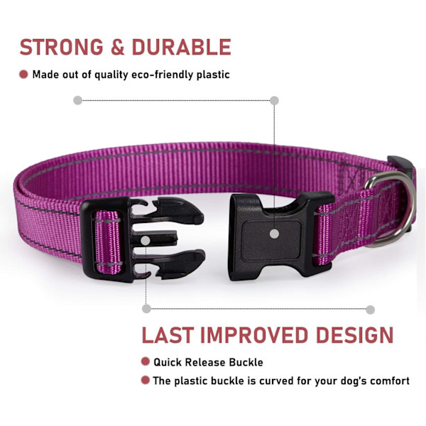 Heijastava koiranpanta, jossa solki, säädettävä turvallinen nylonpanta pienille, keskisuurille ja suurille koirille, violetti XL Purple XL