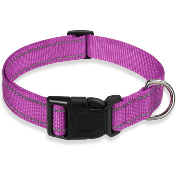 Heijastava koiranpanta, jossa solki, säädettävä turvallinen nylonpanta pienille, keskisuurille ja suurille koirille, violetti XL Purple XL