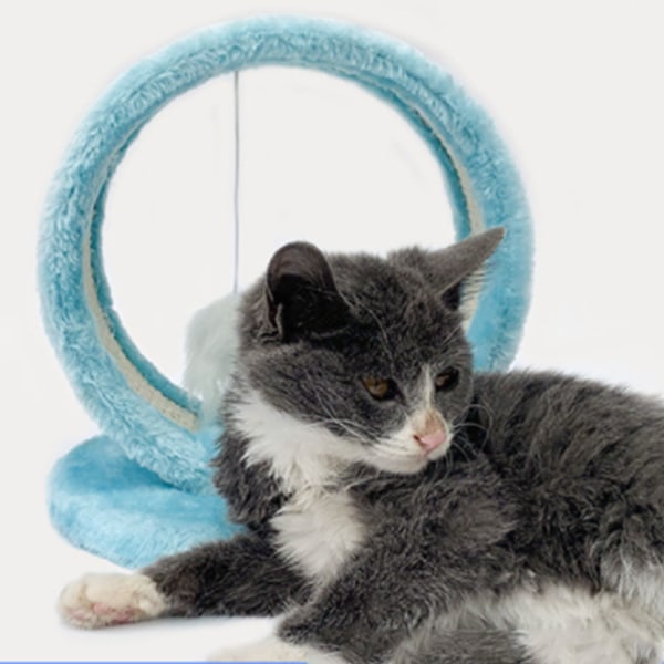 Kat, der kradser huleklo, sliber rund kat klatrestativ legetøj med musevedhæng til indendørs Blå One Size