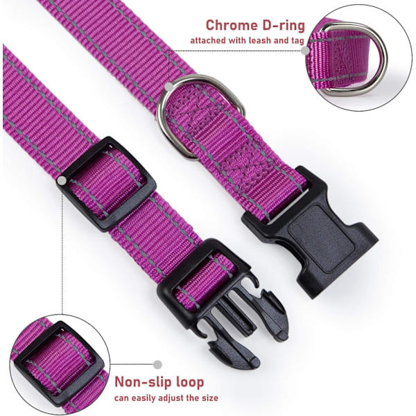 Heijastava koiranpanta, jossa solki, säädettävä turvallinen nylonpanta pienille, keskisuurille ja suurille koirille, violetti XL Purple XL